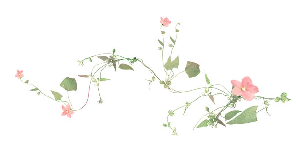 Floral decoration